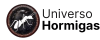 Universo Hormigas
